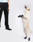 Clickzy | Clear Click, Quick Training!