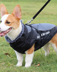 CloudTail | Warm Dog Coat with Reflective Details