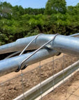 Connection Buckles - Plant
