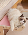 CozyCat Lounger | Enjoy Luxury and Comfort