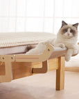 CozyCat Lounger | Enjoy Luxury and Comfort