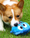 CrazyMonster | Interactive Dog Toy