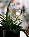 Decorative Transparent Glass Self-Watering Device | Compact and Automatic