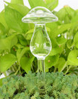 Decorative Transparent Glass Self-Watering Device | Compact and Automatic
