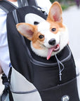 Dog Rucksack | Canicomfy