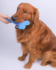 Doggle | Dog-shaped Toy with Squeaker
