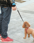 DogiWalk | Handsfree Retractable Dog Lead