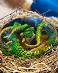 Dragon Egg | Lava Dragon Egg