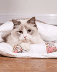 DreamKitty | A luxury sleeping experience for your cat