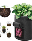 Easy Grow Potato Bag