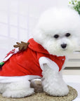 Elfie | Give your pet a warm winter and festive season
