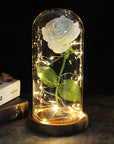Eternal Rose with Light | A Timeless Gift of Warmth and Love