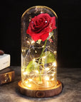 Eternal Rose with Light | A Timeless Gift of Warmth and Love