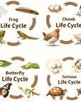 Life Cycles Puzzles - Educational and Interactive Learning