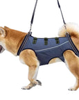 LiftHound | Rehabilitation and Recovery Support Harness