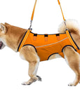 LiftHound | Rehabilitation and Recovery Support Harness