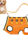 LiftHound | Rehabilitation and Recovery Support Harness