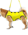 LiftHound | Rehabilitation and Recovery Support Harness