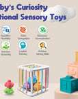 Montessori Baby Sensory Toys