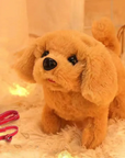 PawBuddy - Interactive Stuffed Dog for Children