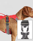 PawFlex | Premium No Pull Reflective Harness