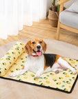 PetCooler | Ice Cooling Mat for Pets