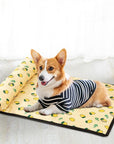 PetCooler | Ice Cooling Mat for Pets