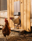 PoultryPro | Chickens Safe with Automatic Closure