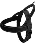 PowerLead | No-Pull Harness with Reflective Features