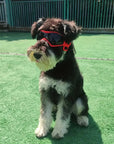 PupVisor | Trendy UV Dog Sunglasses