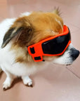 PupVisor | Trendy UV Dog Sunglasses