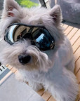 PupVisor | Trendy UV Dog Sunglasses