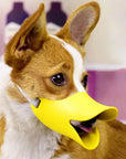 QuackSafe | Muzzle with Adjustable Straps