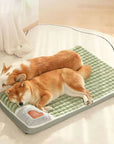 Sleep Paradise for Dogs | Orthopaedic & Velvet Soft