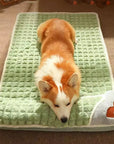 Sleep Paradise for Dogs | Orthopaedic & Velvet Soft