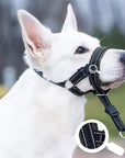 SnoutPro | Stop Barking and Biting Without Stress
