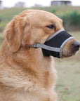 SoftSnout | Prevent Barking and Biting