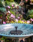 Solar-Powered Water Fountain