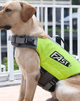 SurfPaws | Safe and Adjustable Life Jacket