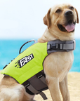 SurfPaws | Safe and Adjustable Life Jacket