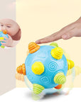 Toyland - Music Ball for Babies and Toddlers