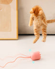 ZephPaws | Active Play for Happy Cats