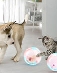 ZoomZing | Interactive Ball for Pets