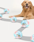ZoomZing | Interactive Ball for Pets
