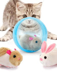 ZoomZing | Interactive Ball for Pets