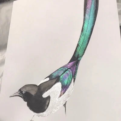 20 Colour Watercolour Painting Set