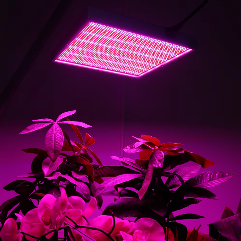 200W LED Grow Light – Dimmable Full Spectrum Grow Light with 2000 LEDs