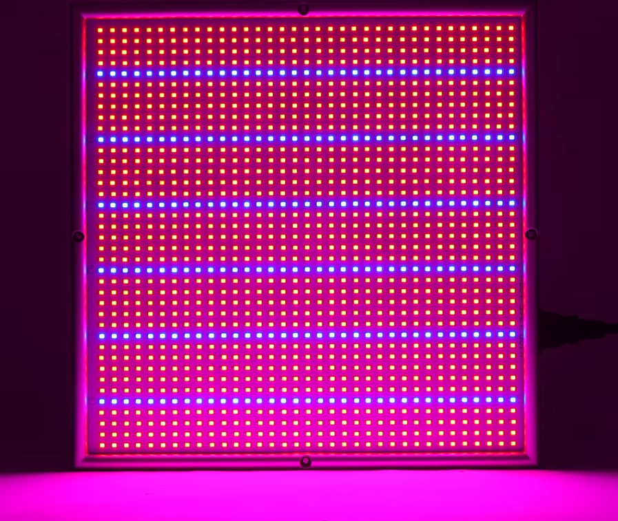 200W LED Grow Light – Dimmable Full Spectrum Grow Light with 2000 LEDs