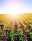 Solar-Powered Mole, Mouse, Snake Pest Rodent Repeller