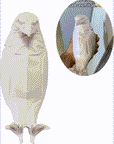 3D Eagle Wall Sconce LED Wall Lamp Resin Animal Statue